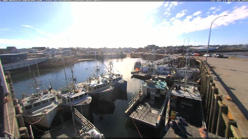 Lobster Rock Wharf East