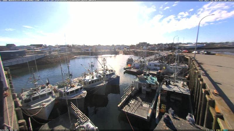 Lobster Rock Wharf East