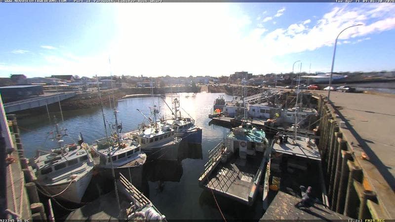 Lobster Rock Wharf East