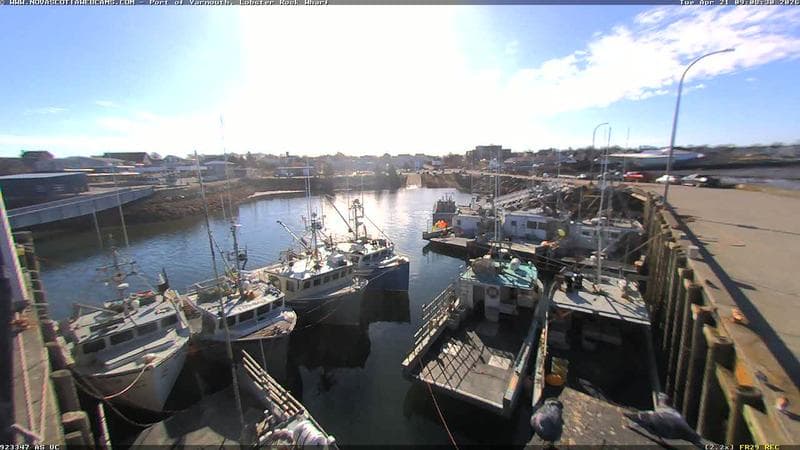 Lobster Rock Wharf East