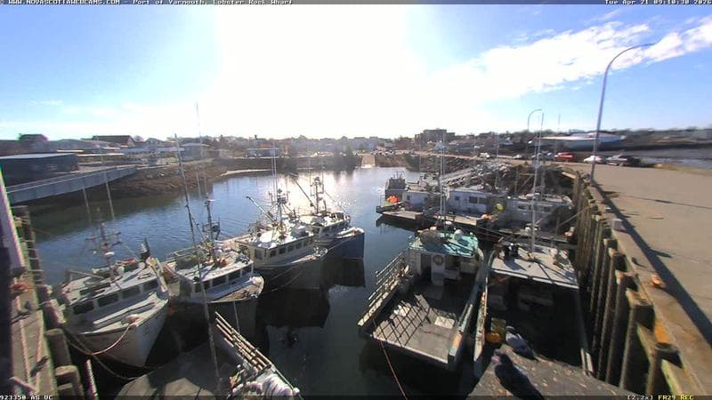 Lobster Rock Wharf East