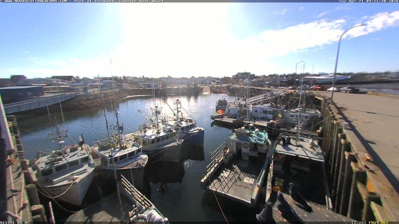 Lobster Rock Wharf East