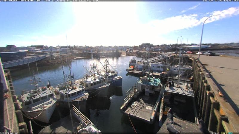 Lobster Rock Wharf East