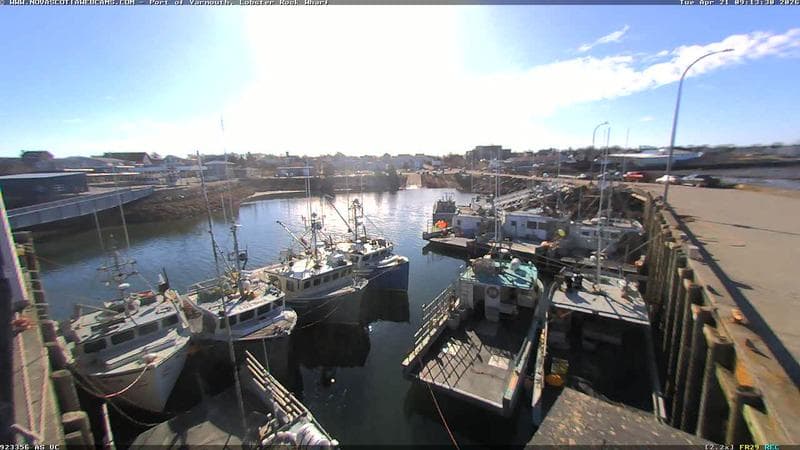 Lobster Rock Wharf East
