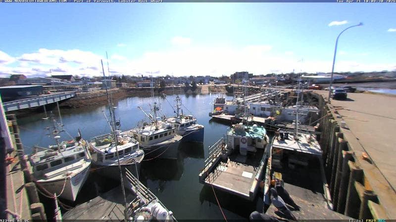 Lobster Rock Wharf East
