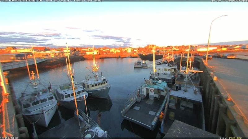 Lobster Rock Wharf East