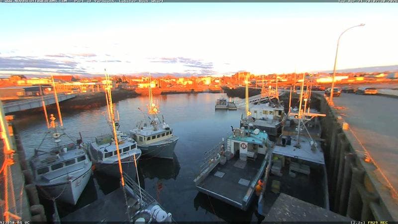 Lobster Rock Wharf East