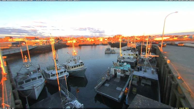 Lobster Rock Wharf East