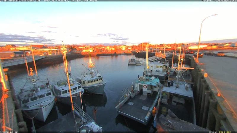 Lobster Rock Wharf East