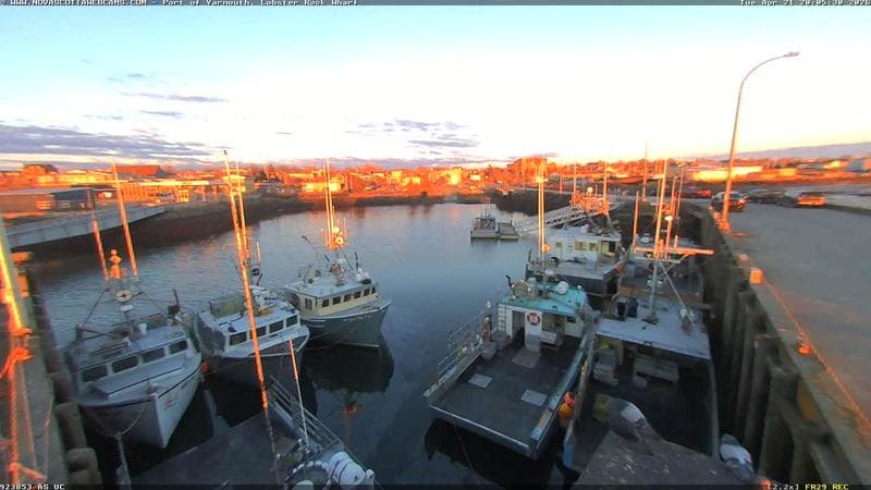 Lobster Rock Wharf East