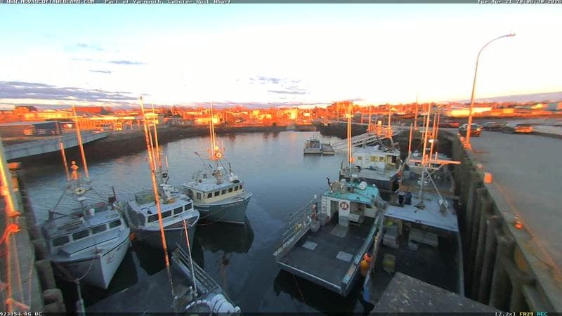 Lobster Rock Wharf East