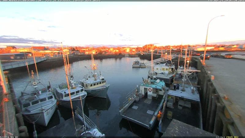 Lobster Rock Wharf East