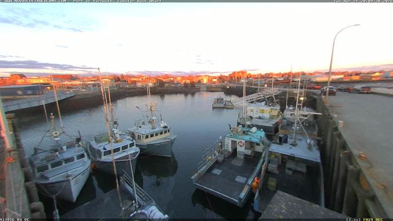 Lobster Rock Wharf East