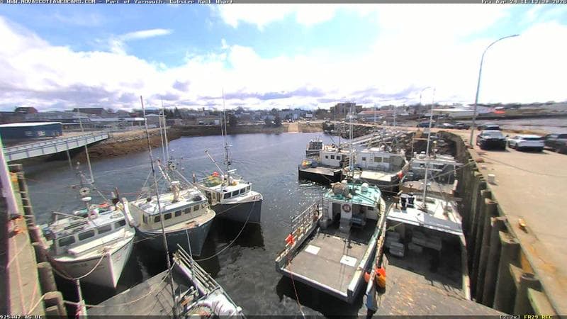 Lobster Rock Wharf East