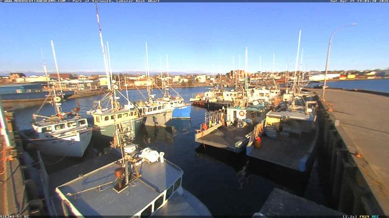 Lobster Rock Wharf East