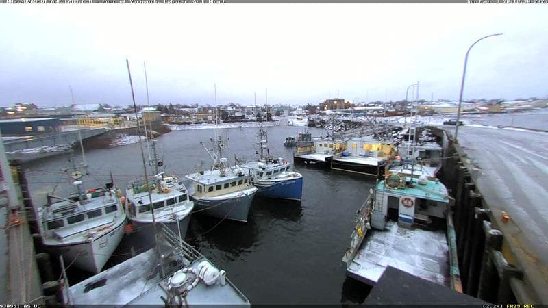 Lobster Rock Wharf East