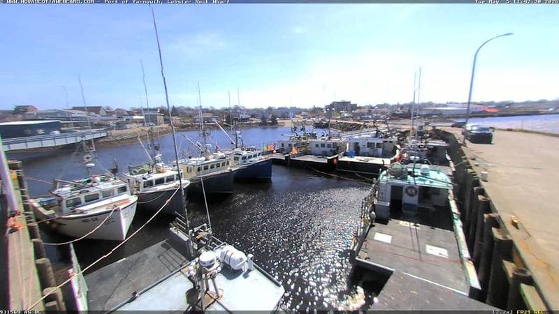 Lobster Rock Wharf East