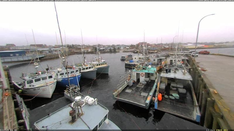 Lobster Rock Wharf East