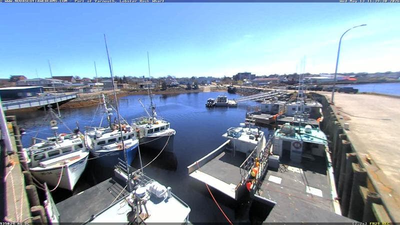 Lobster Rock Wharf East