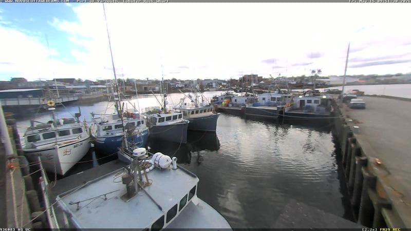 Lobster Rock Wharf East