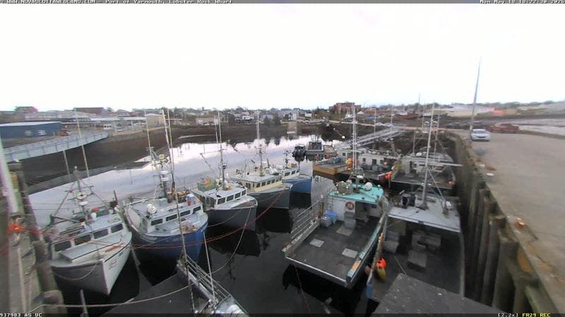 Lobster Rock Wharf East