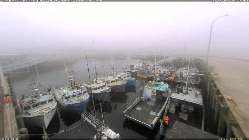 Lobster Rock Wharf East