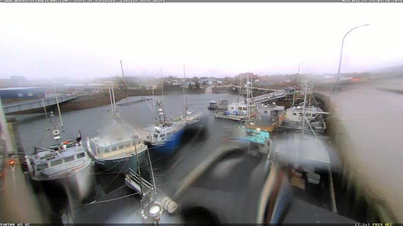 Lobster Rock Wharf East