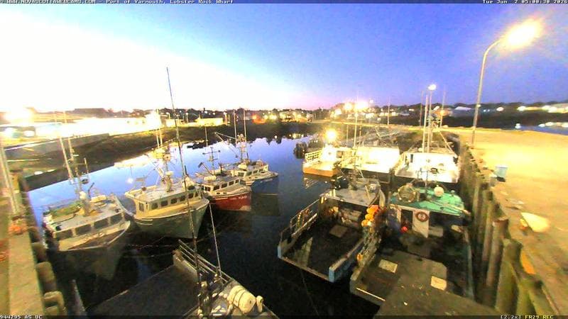 Lobster Rock Wharf East