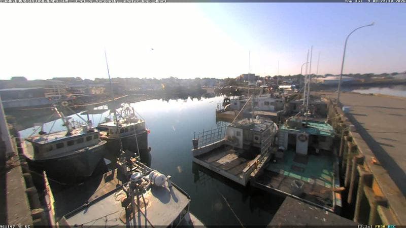 Lobster Rock Wharf East