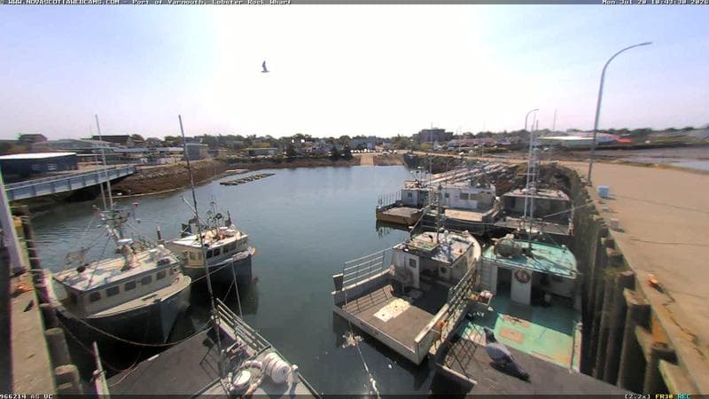 Lobster Rock Wharf East
