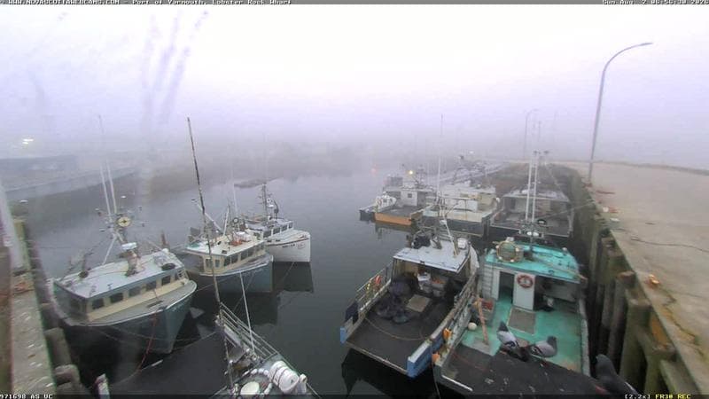 Lobster Rock Wharf East