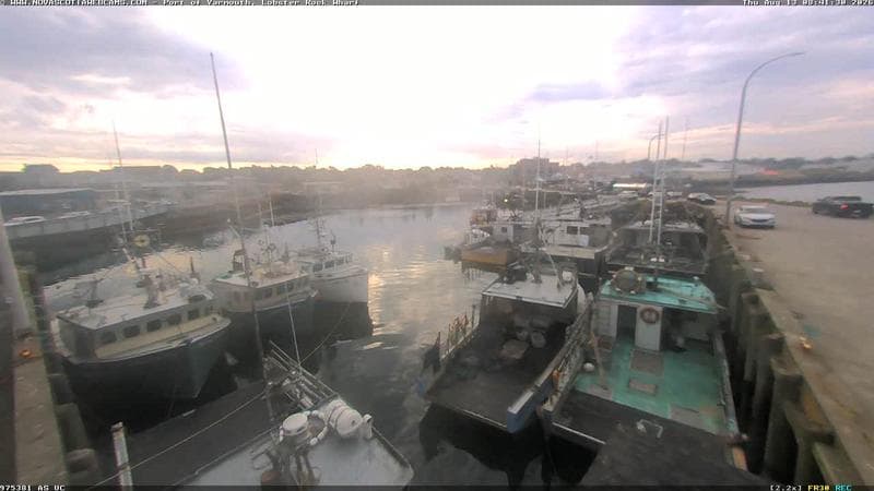 Lobster Rock Wharf East