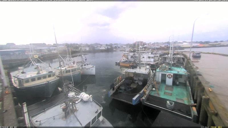 Lobster Rock Wharf East