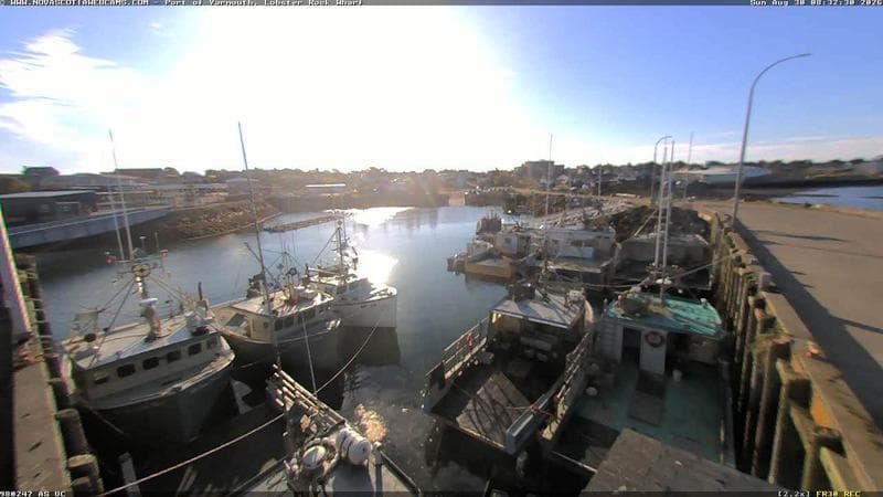 Lobster Rock Wharf East