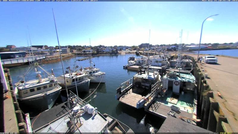 Lobster Rock Wharf East