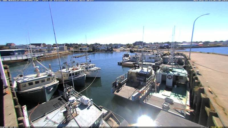 Lobster Rock Wharf East
