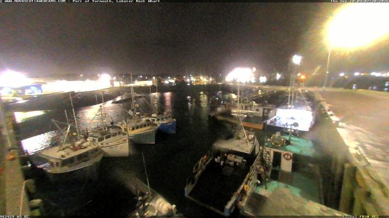 Lobster Rock Wharf East