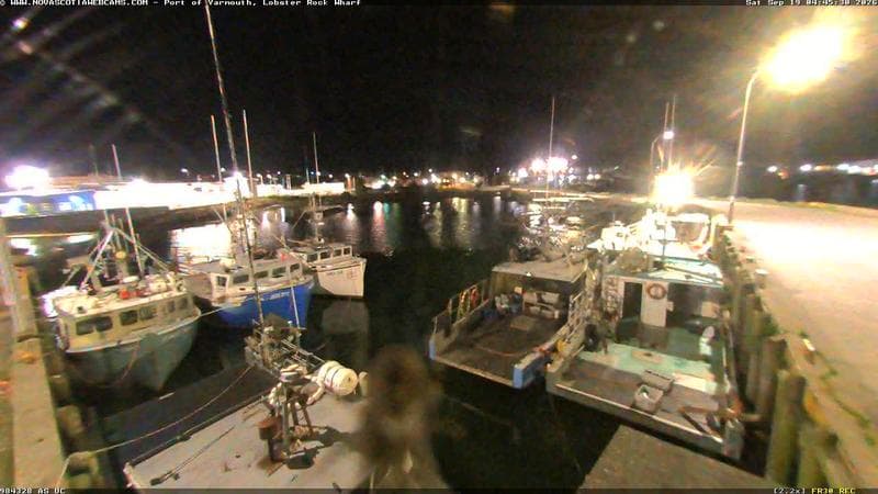 Lobster Rock Wharf East