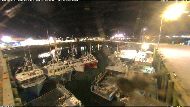 Lobster Rock Wharf East