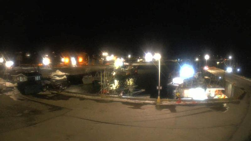 Marginal Wharf South