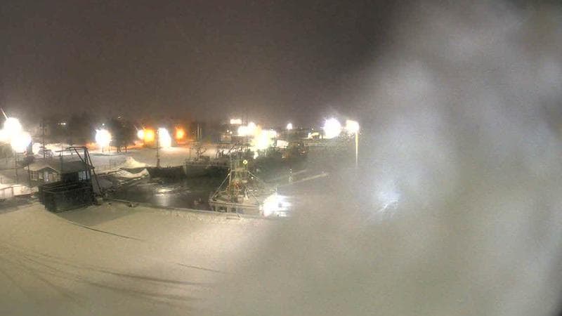 Marginal Wharf South