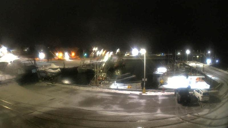 Marginal Wharf South