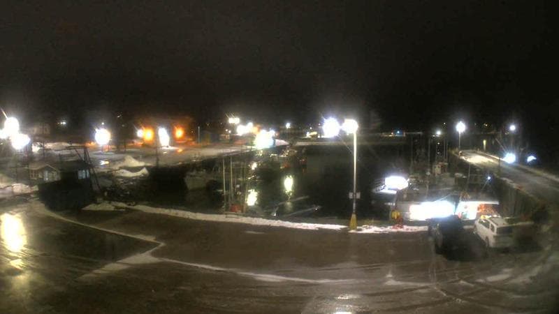 Marginal Wharf South