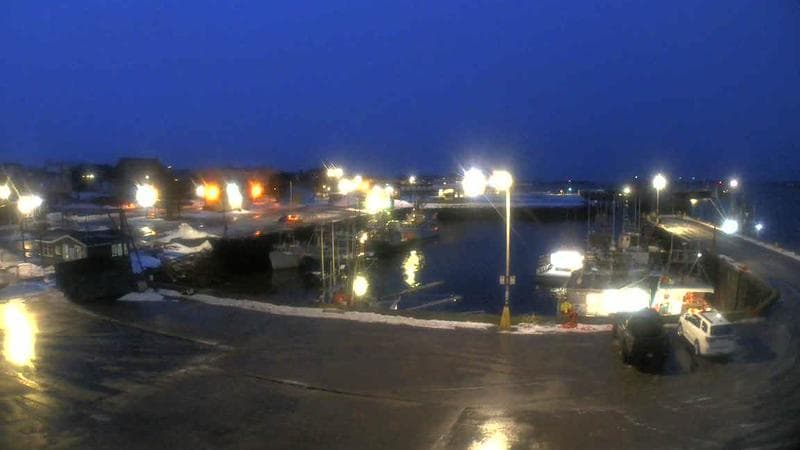 Marginal Wharf South