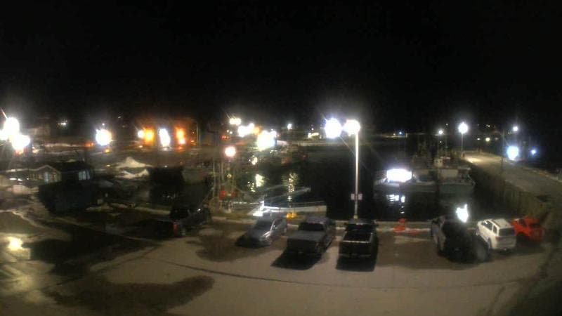 Marginal Wharf South