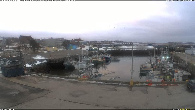 Marginal Wharf South