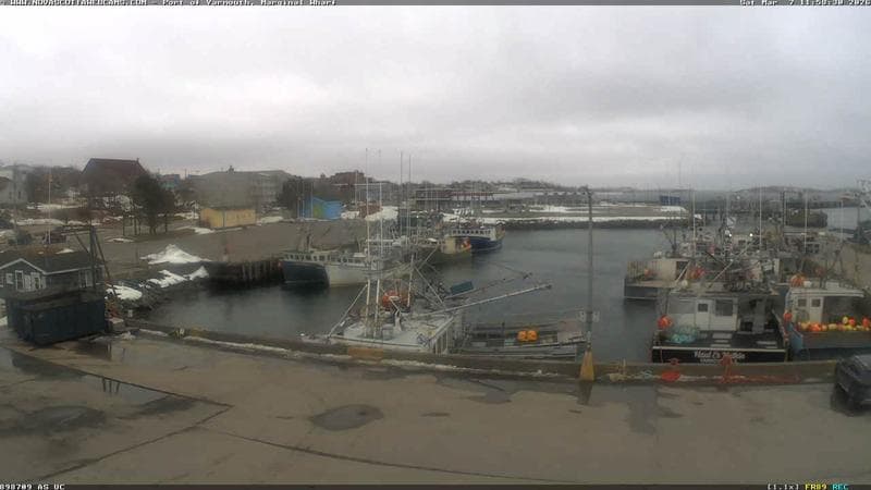 Marginal Wharf South