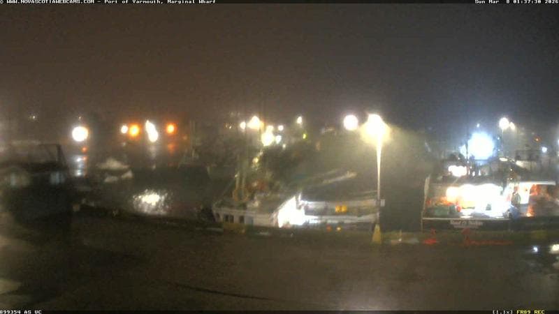 Marginal Wharf South