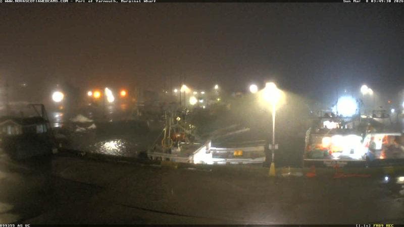 Marginal Wharf South