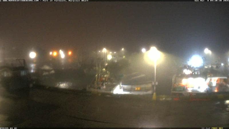 Marginal Wharf South